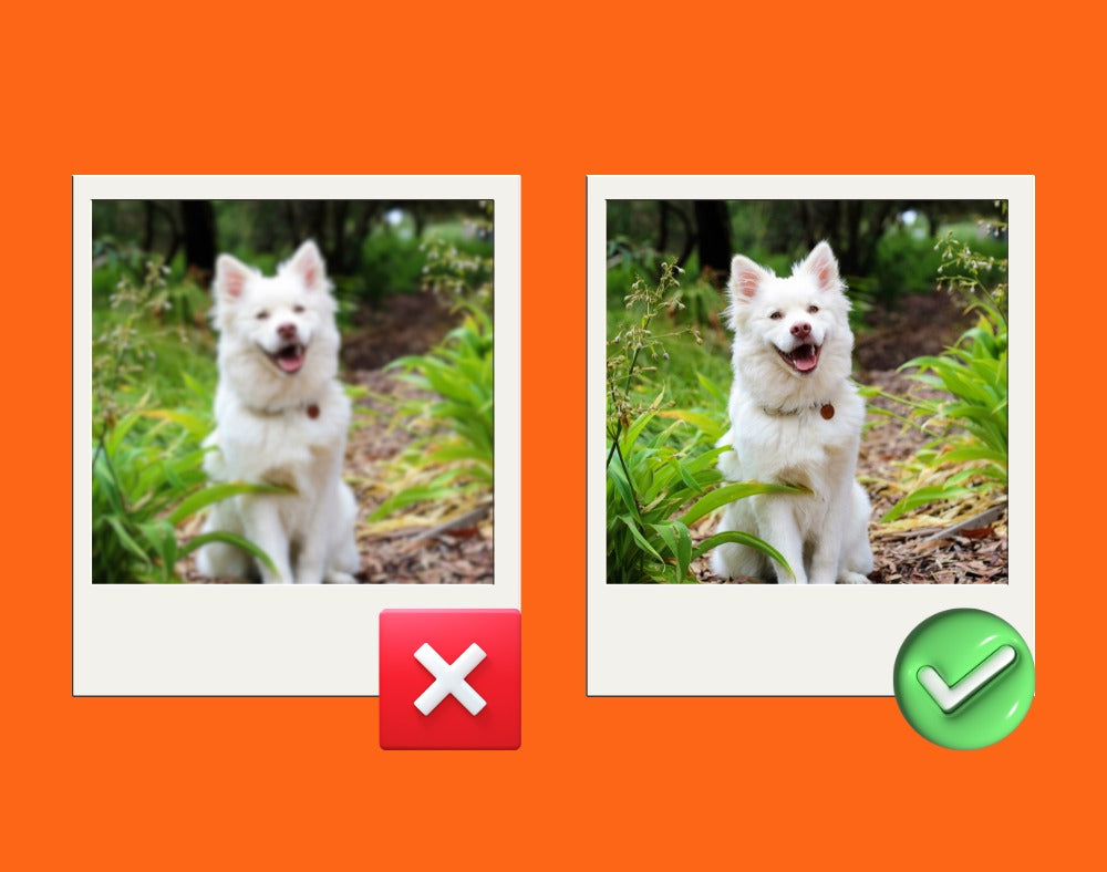 Shopify Image Optimization for SEO: A Complete Guide