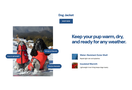 Tpt-Product Highlight #2 - Tapita