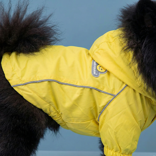 The Hooded Windbreaker - Tapita