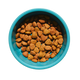 High-Quality Protein