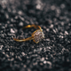 Luna Moonstone Ring - Tapita 