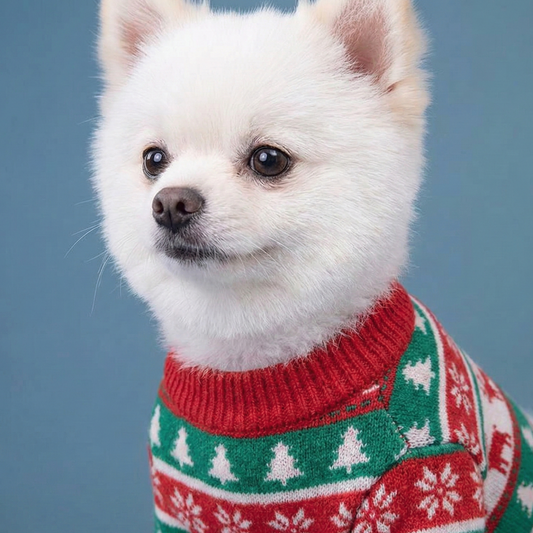 Nordic Holiday Sweater - Tapita 