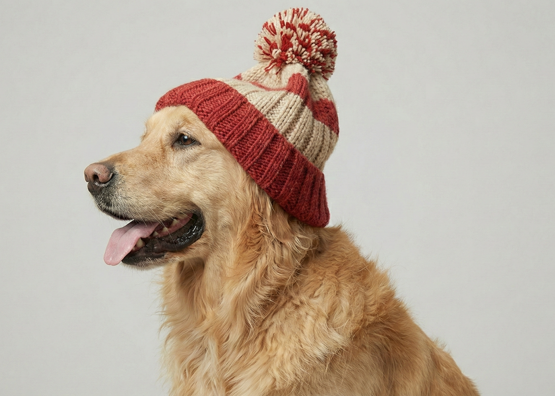 The Aspen Knit Dog Hat - Tapita 