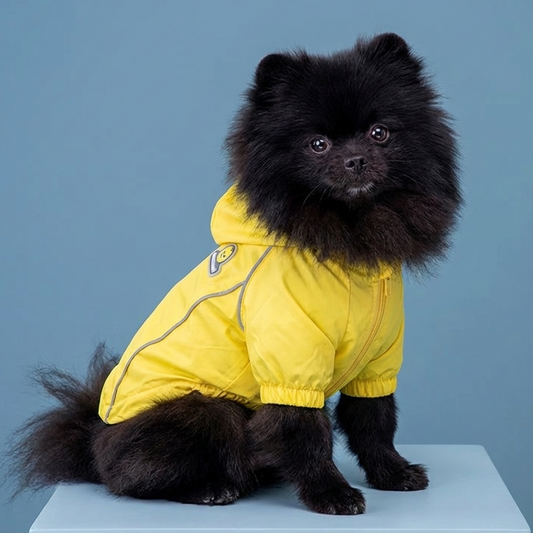 The Hooded Windbreaker - Tapita 