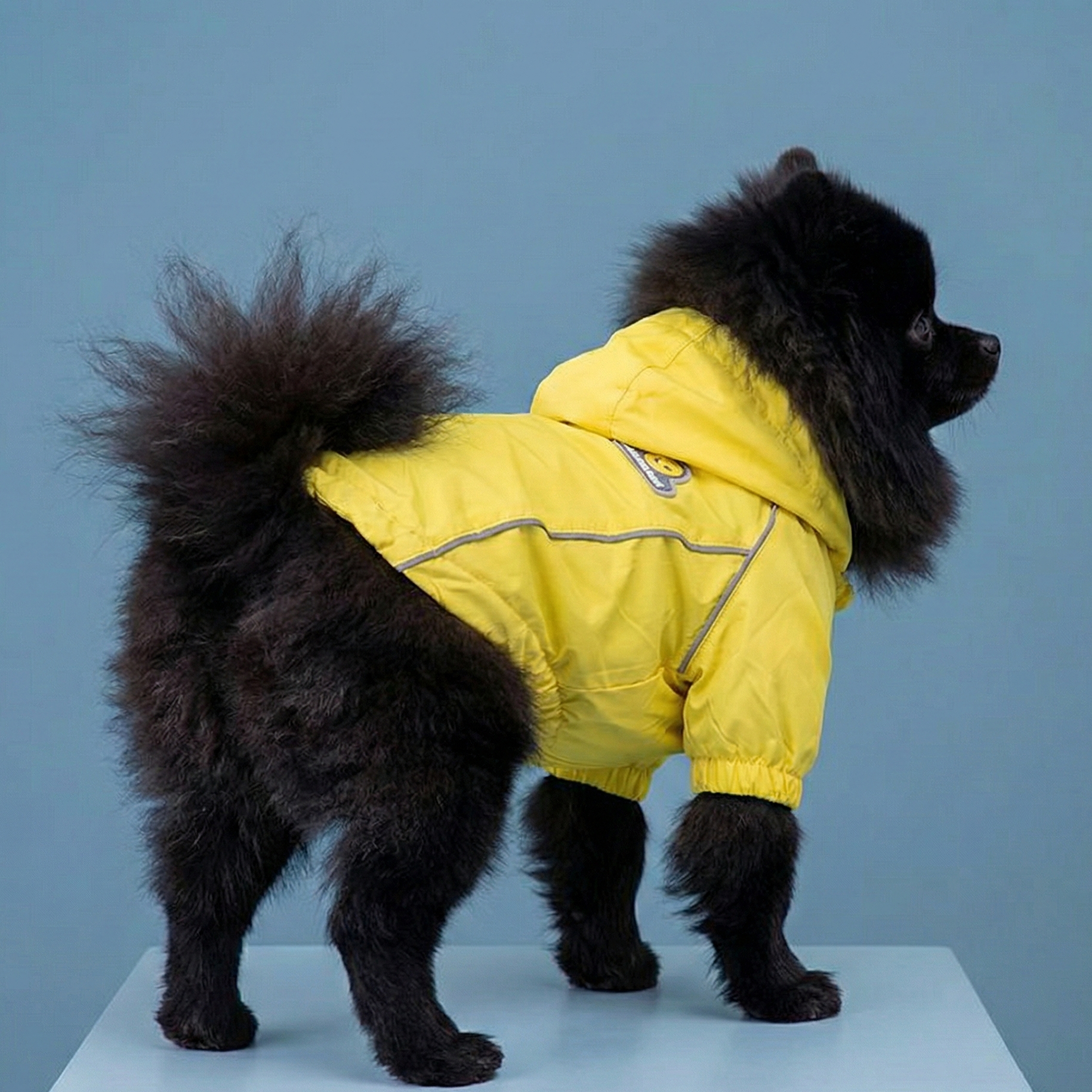 The Hooded Windbreaker - Tapita 