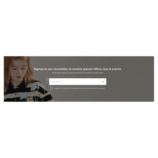 Tpt - Email Signup #3 - Tapita 