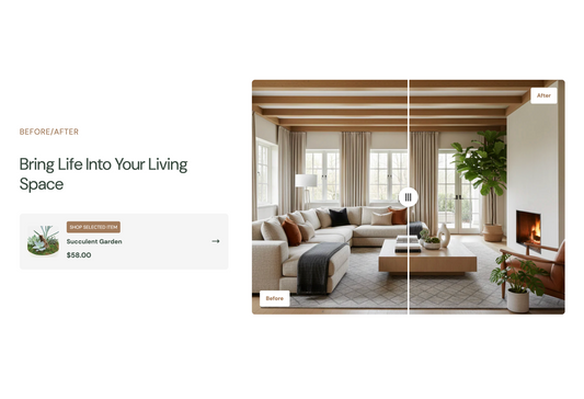 Tpt - Image Comparison #4 - Tapita 