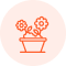 Advanced icon